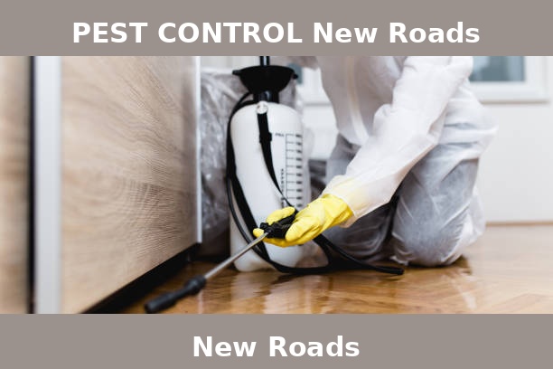 PEST CONTROL New Roads